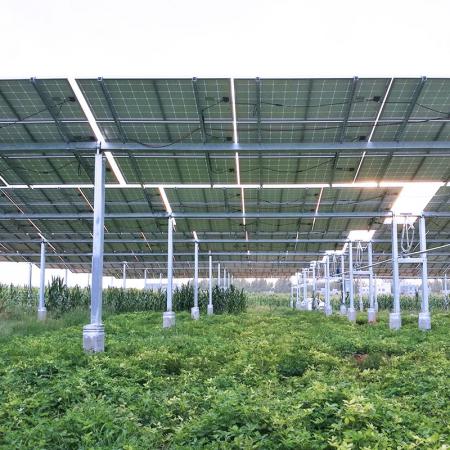 Farm Solar Structure ၊
