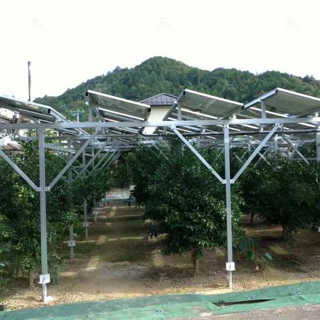 Farm Solar Structure ၊